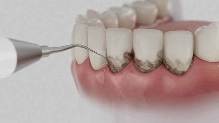 Reliable Dental contractor in Manchester, NH by Dentist Open Now